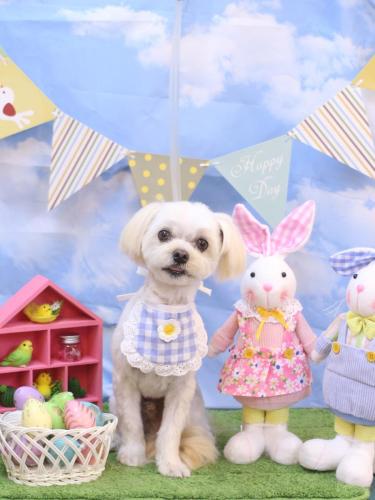 20240303むぎまるくん